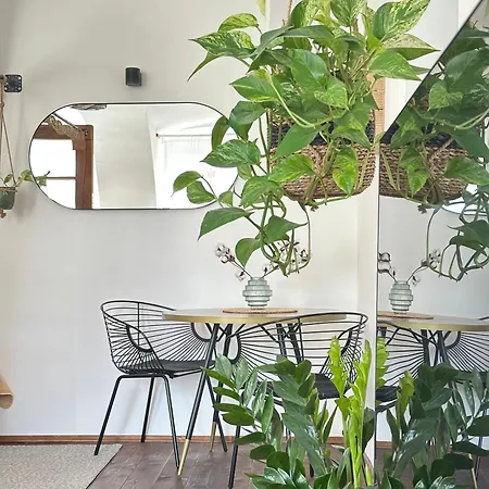 Cozy Urban House Apartament
